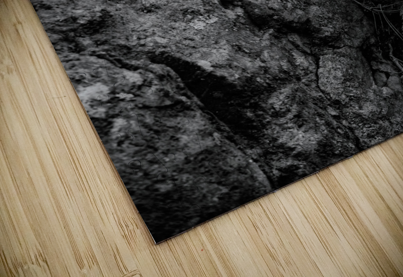 Small Pine on a Rock Dream World Images Puzzle