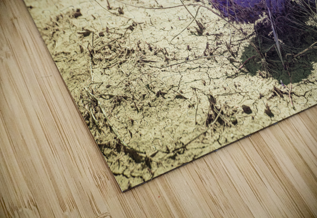 SD Purple Cactus Dream World Images Puzzle