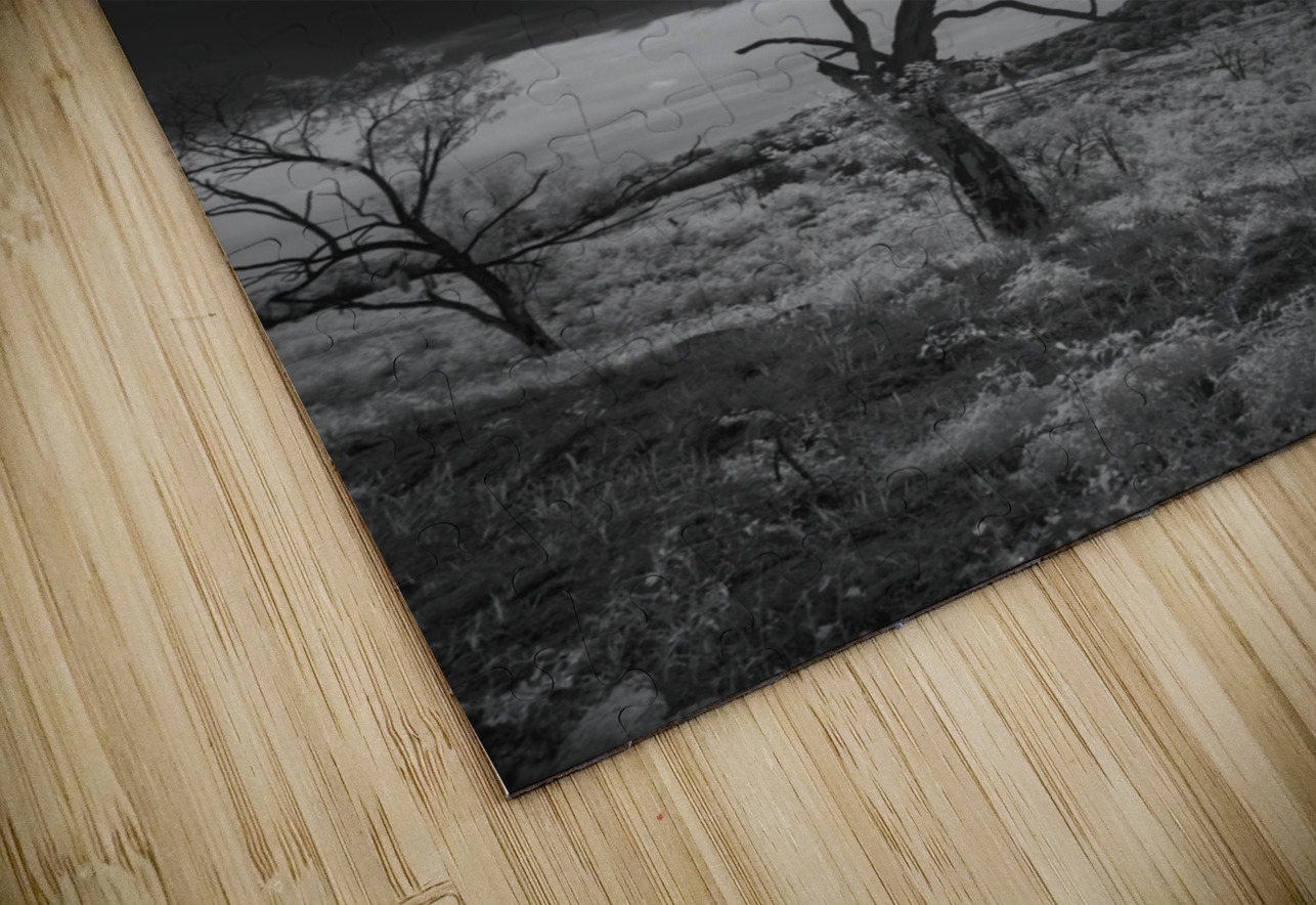 Dance of Light: Lone Sentinel at Dawn Dream World Images Puzzle