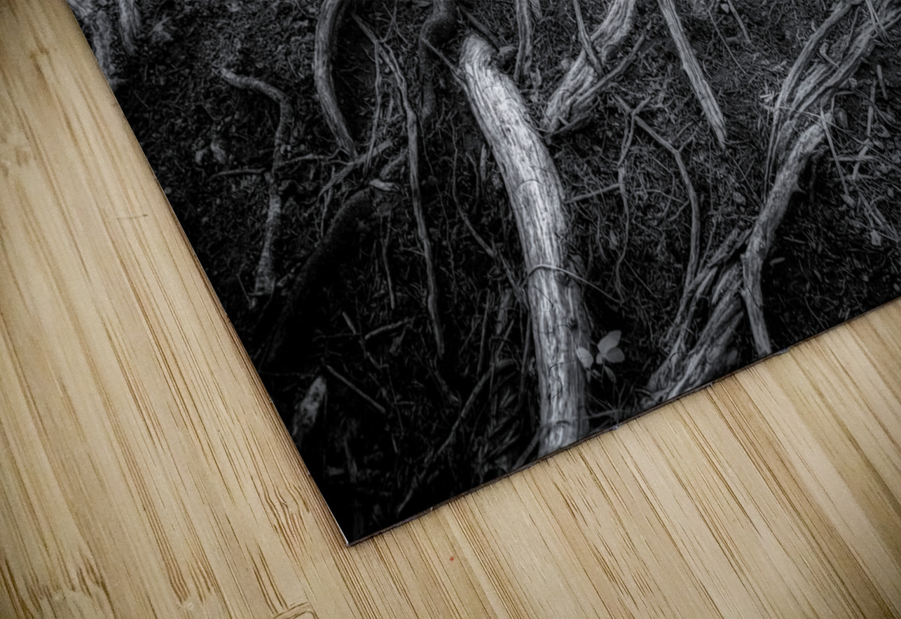 Veins of the Earth Dream World Images Puzzle