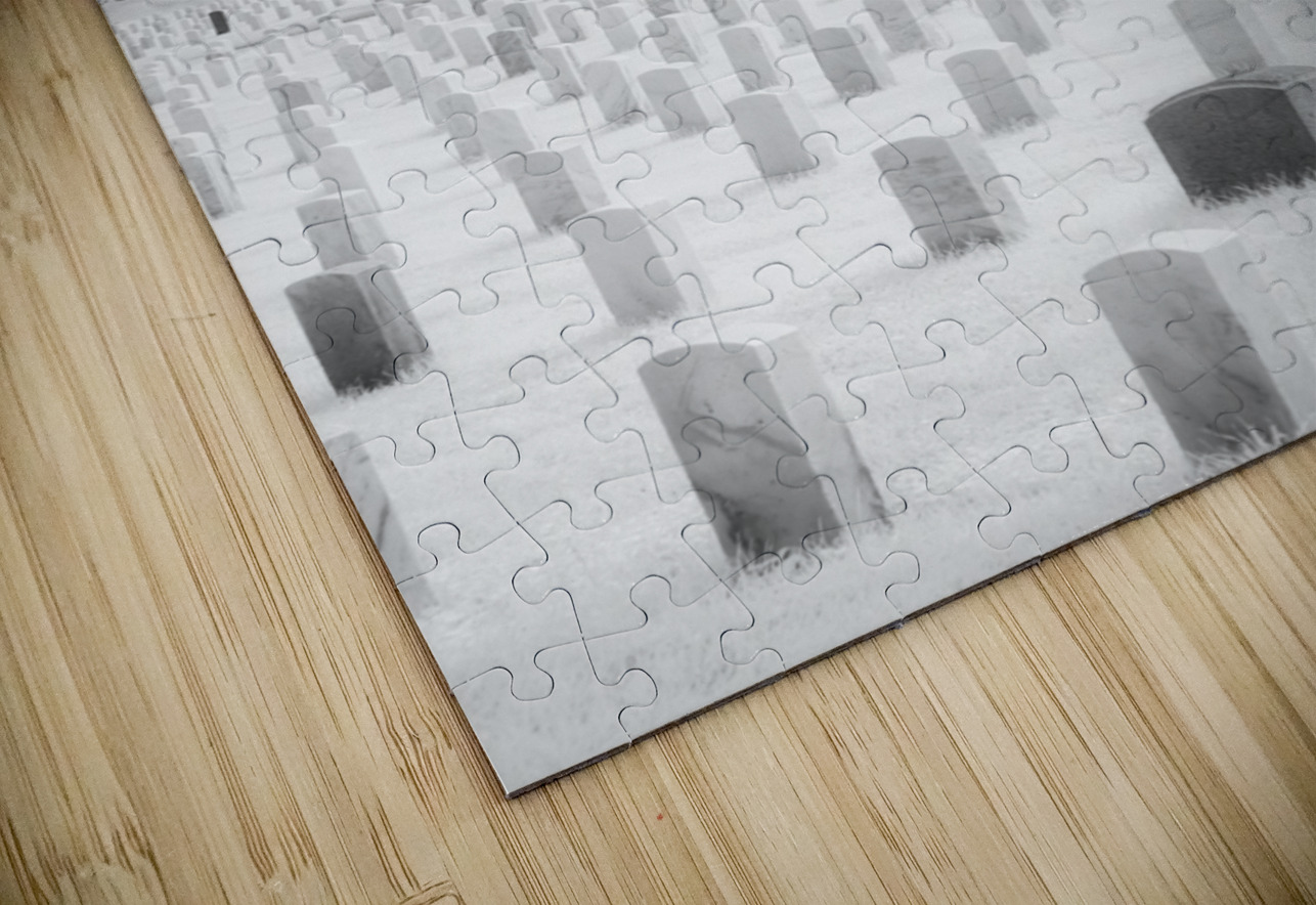 Guardians of Valor Dream World Images Puzzle