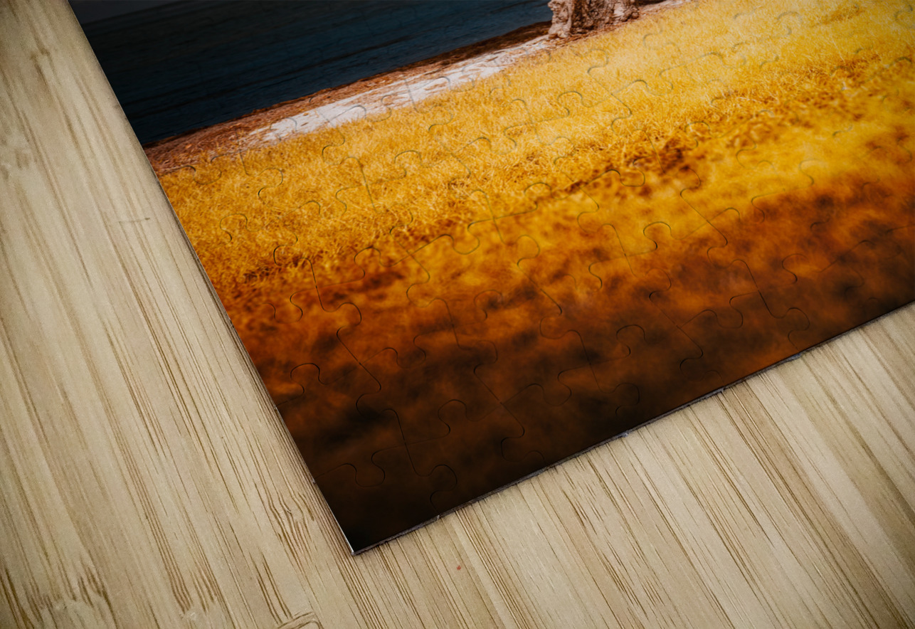 Golden Guardian: A Mystical Tree on Sunshine Key Dream World Images Puzzle