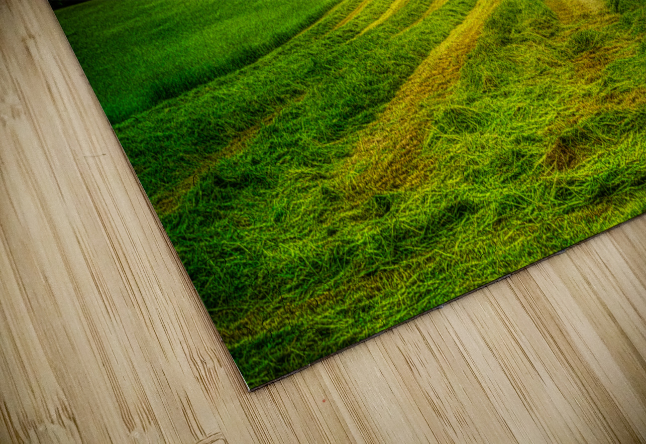 Verdant Harvest Dream World Images Puzzle