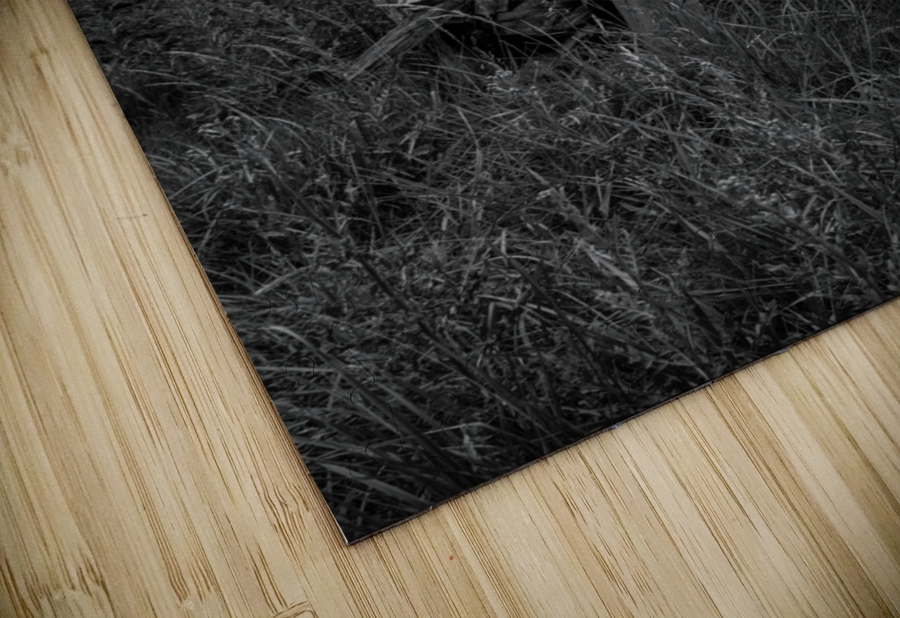 Boundaries of Time Dream World Images Puzzle