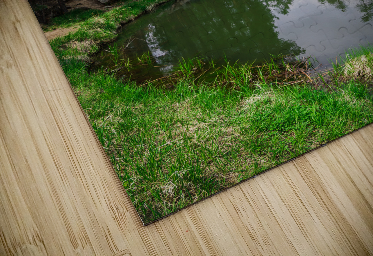 Captivating Vistas: Exploring Grace Coolidge Lakes Serenade of Silence Dream World Images Puzzle