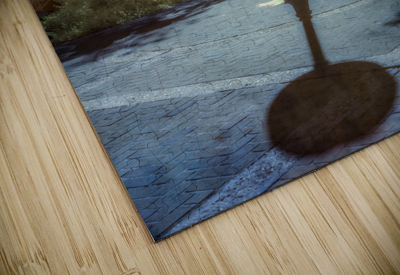 Springtime Serenity: Exploring Saint Marys Riverside Park Dream World Images Puzzle