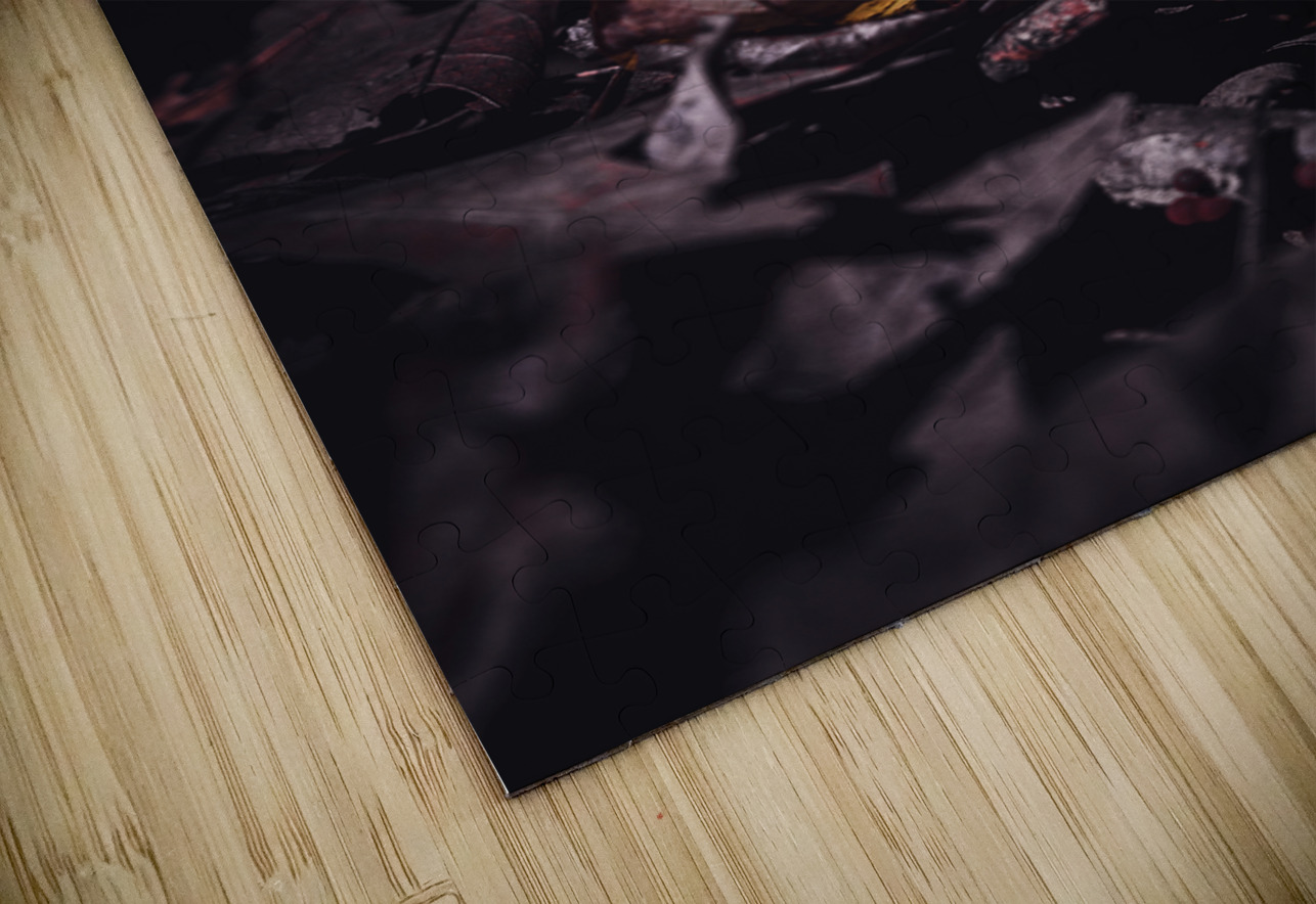 Mystical Fungi: Helmet among the Dead Leaves Dream World Images Puzzle