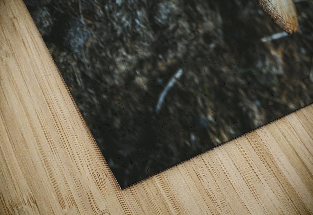 Montana Ranch Shroom: Highland Horseshoe Fungus Dream World Images Puzzle