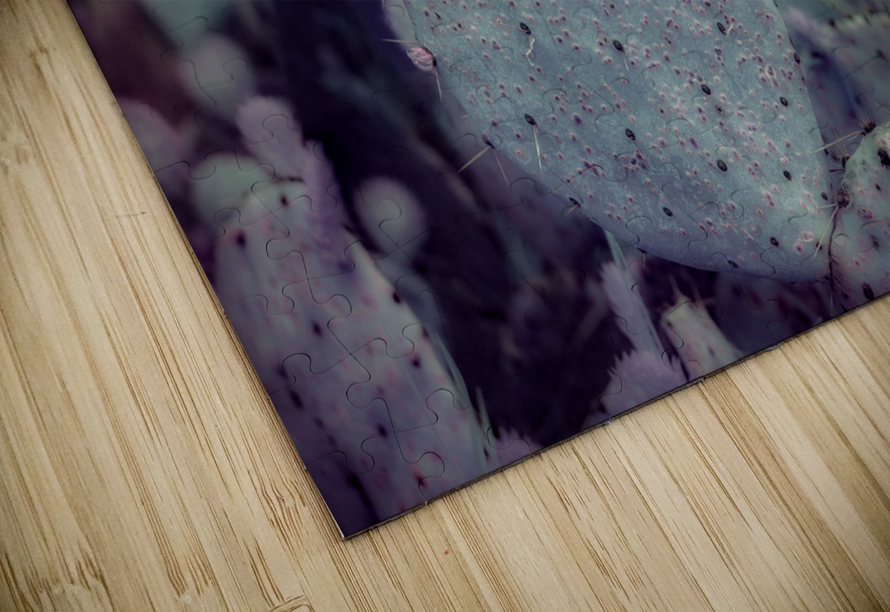 Desert Shadows: Purple Infrared Texas Cactus Dream World Images Puzzle