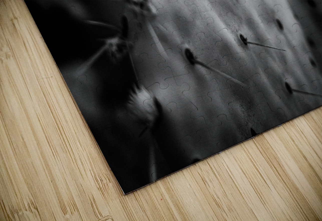 Ink and Thorn: Capturing the Essence of Texas Cacti Dream World Images Puzzle