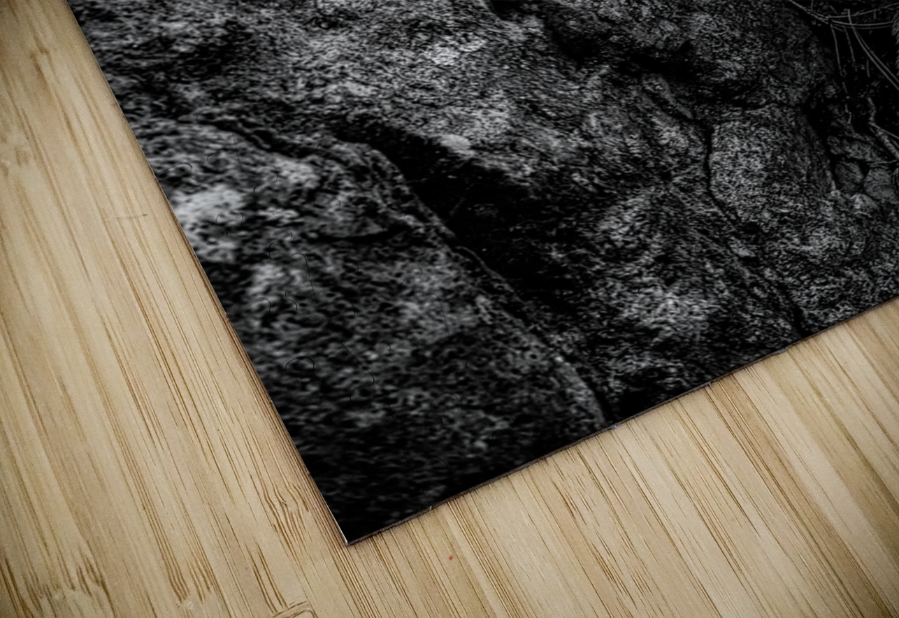 Exploring Sylvan Lake: Small Pine on a Rock Dream World Images Puzzle