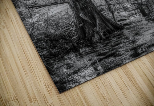 Louisiana Cypress Dream World Images puzzle