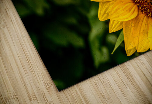 Corner Sunflower: A Radiant Touch of Natures Beauty Dream World Images puzzle