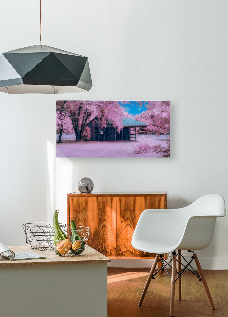 Infrared Delaware Barn  HD Metal print with Floating Frame on Back