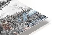 Monochromatic Serenity: Exploring Grace Coolidge Creek in Custer - Tall HD Metal print