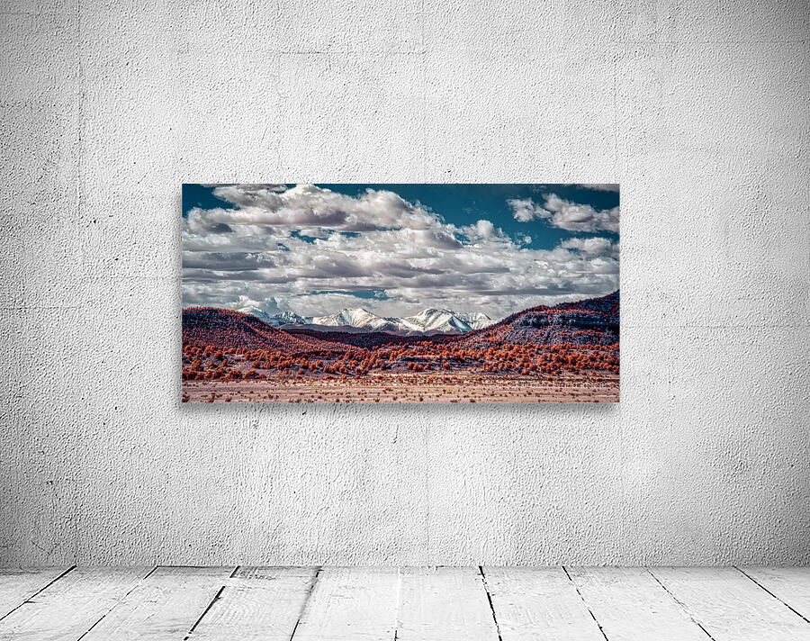 Infrared Contrast of Earth and Sky Wall Preview