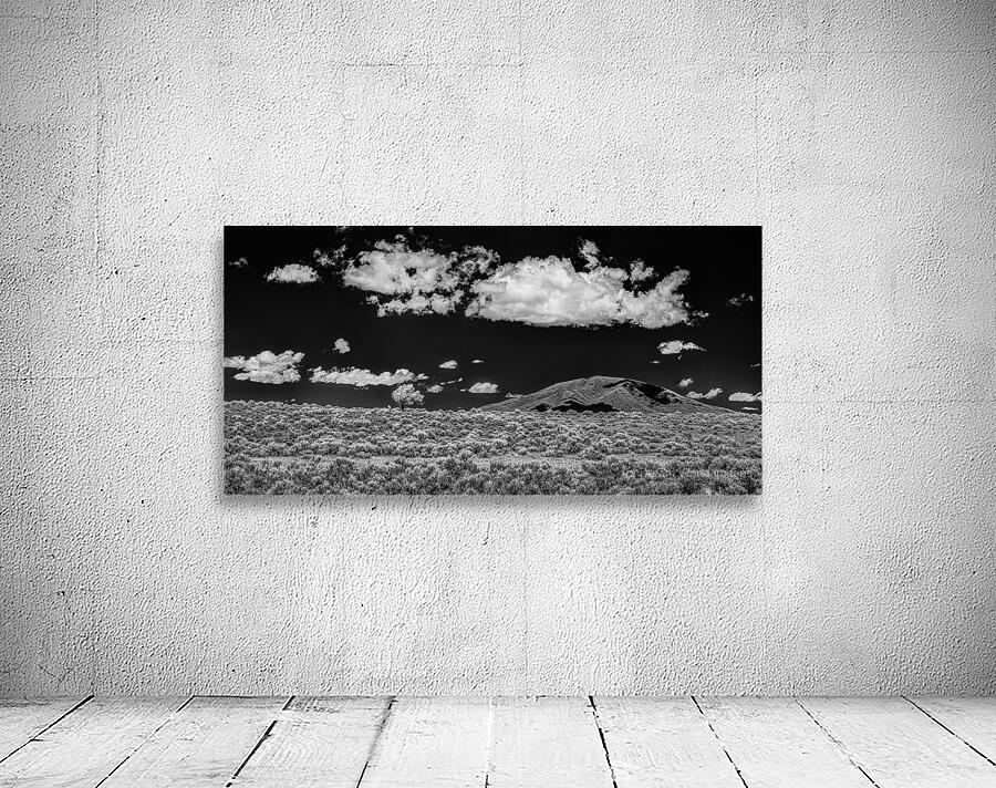 Contrasts of a Lone Guardian  Wall Preview