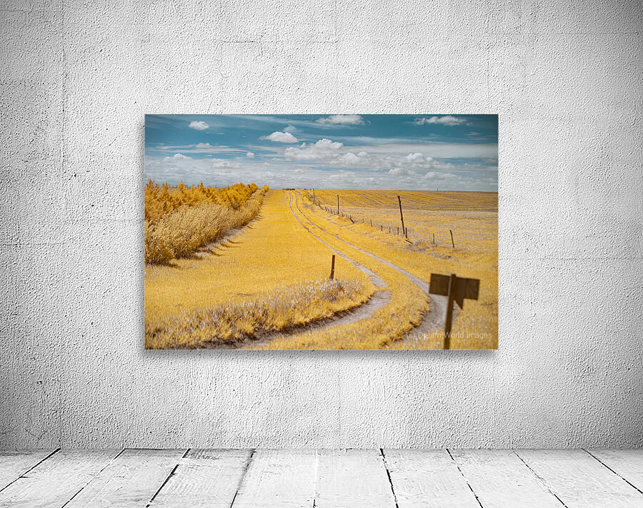 Nebraska Farm Lane - 2 Wall Preview