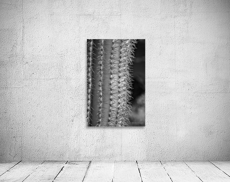 Prickly Pathway Wall Preview