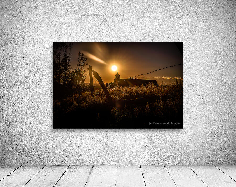 Sun Kissed Harmony Along Rustic Lines Wall Preview