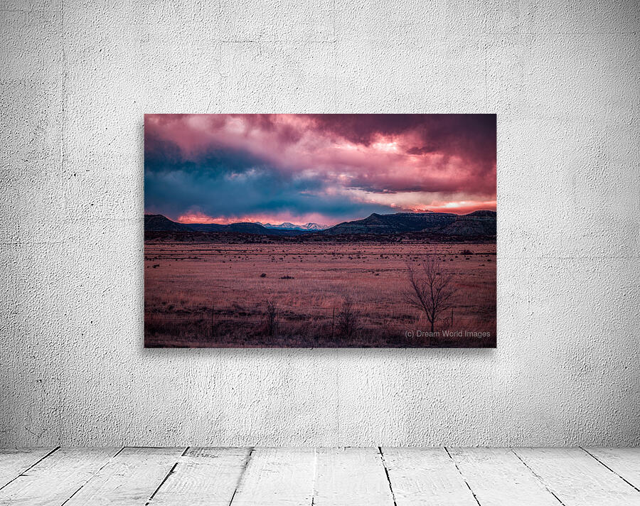 Solitary Harmony Under a Painted Sky Wall Preview