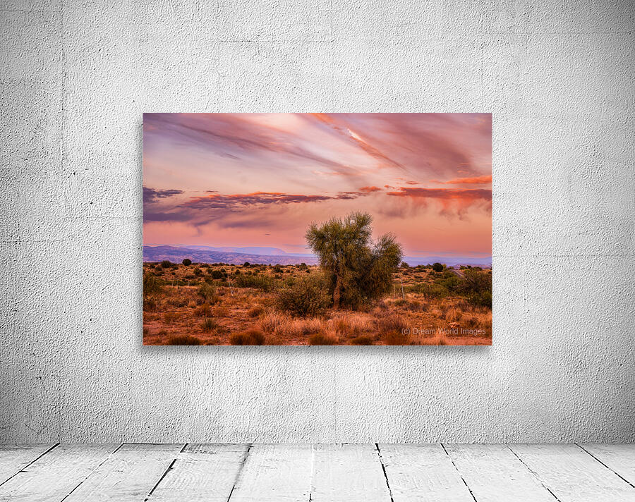 Whispers Through The Sunlit Canopy Wall Preview