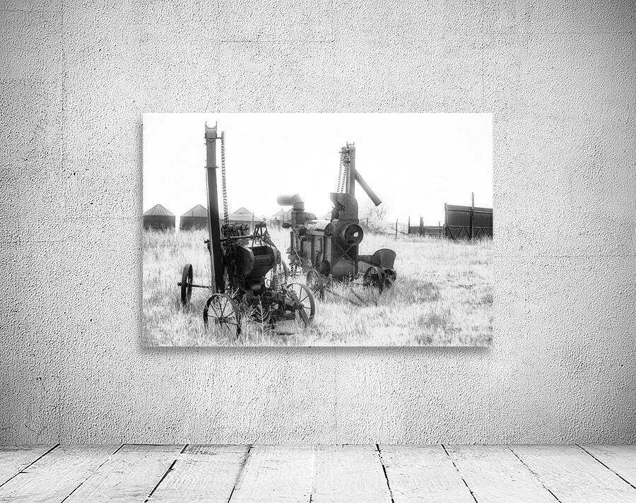 Rustic Relic   Harvest Twins Wall Preview