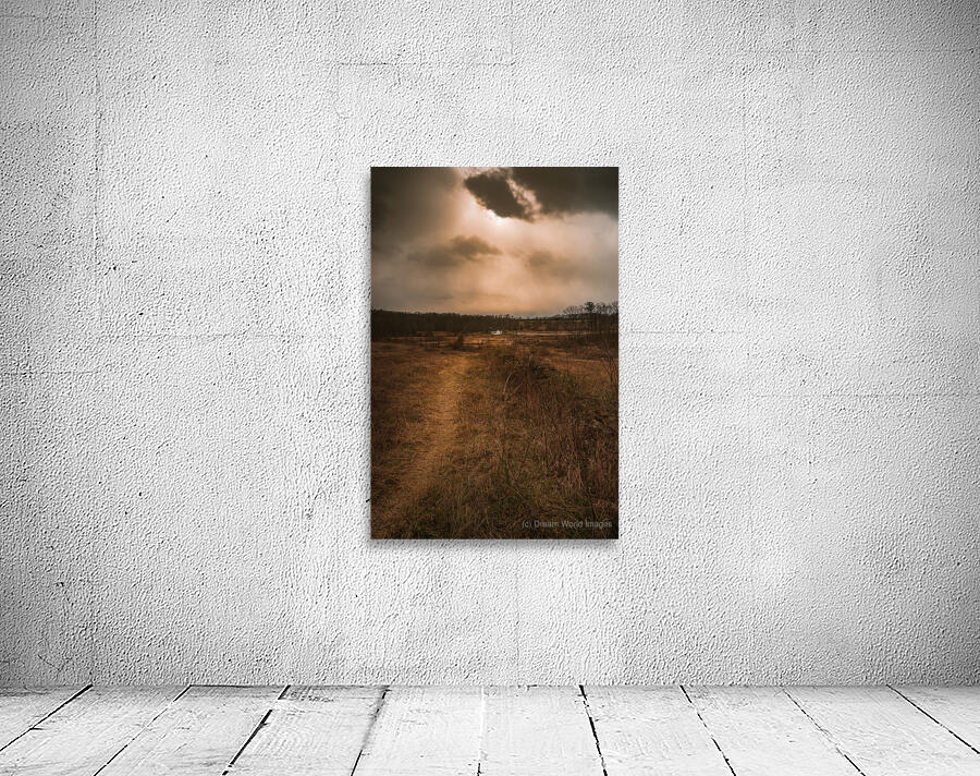 Hazel Row Wall Preview