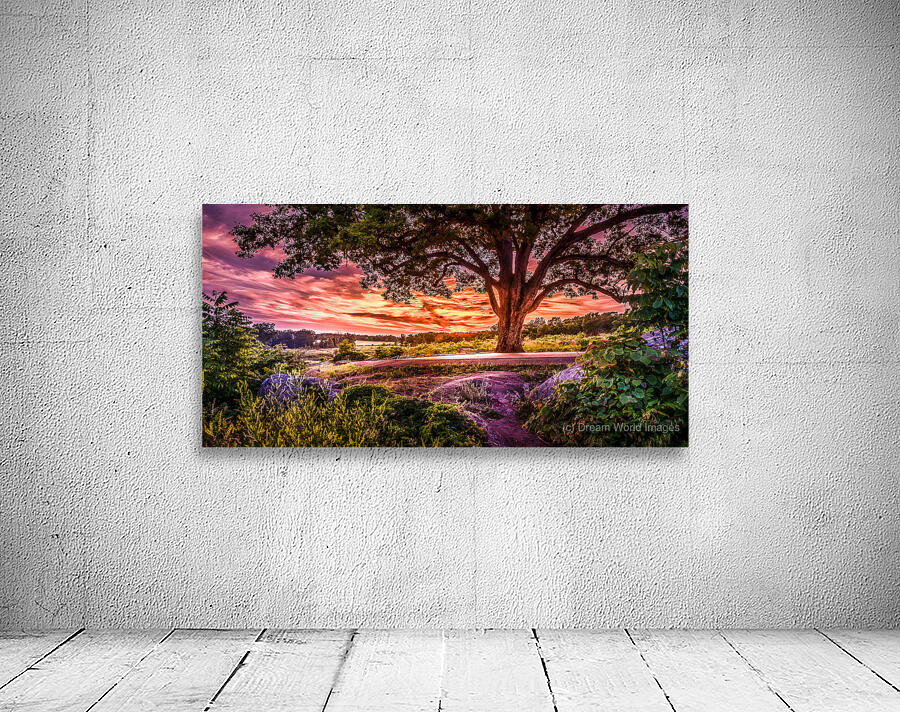Fairytale Sunset Wall Preview