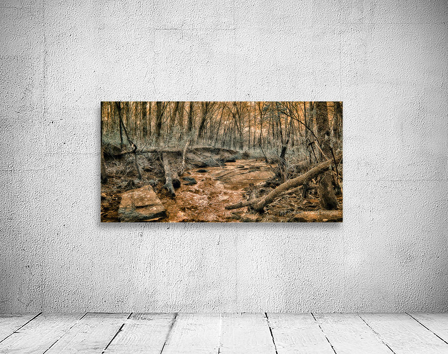 Ghostly Flow: Exploring Gettysburgs Bloody Run in Infrared Wall Preview