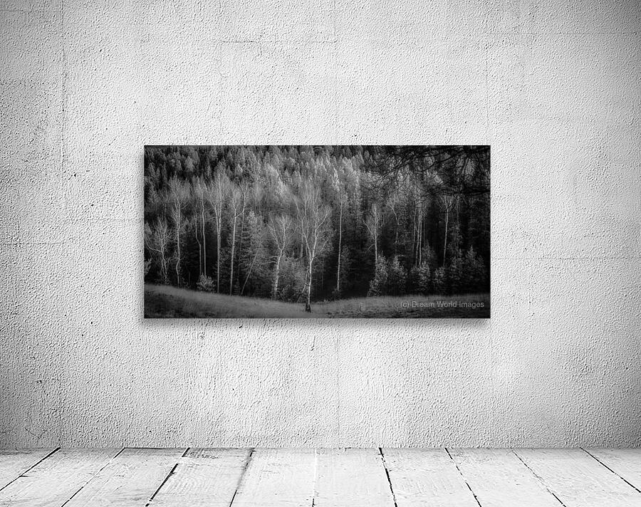 Mueller Aspen Series: Lighted Aspen Wall Preview