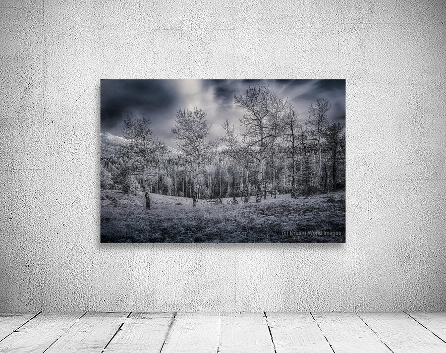 Mueller Aspen Series: Grove of Tranquility Wall Preview