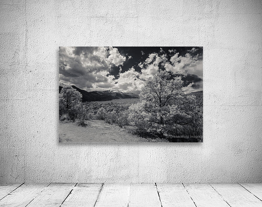 Trail to Majesty: A Glimpse Beyond on Scotchman Trail Garden of the Gods Wall Preview