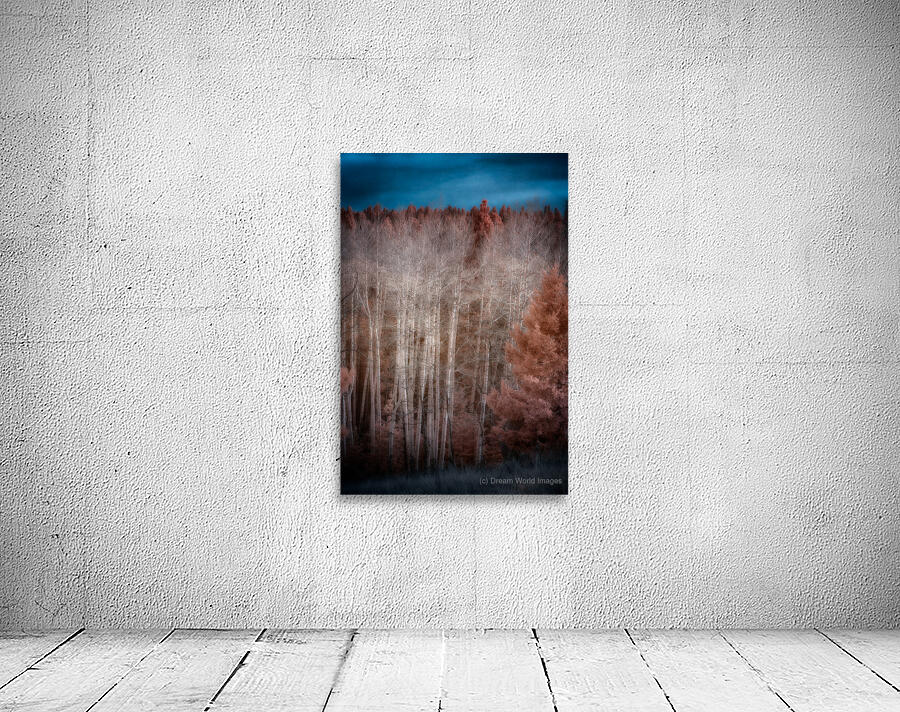 Mueller Aspen Series: Enchanted Woods Wall Preview