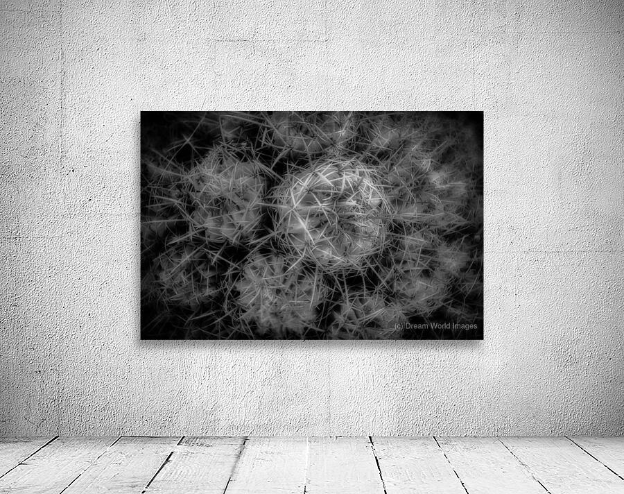 Thorned Harmonics Wall Preview