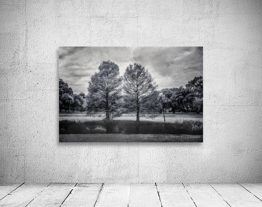 Mystical Twins: Unveiling the Beauty of Venetian Gardens in Lees Wall Preview