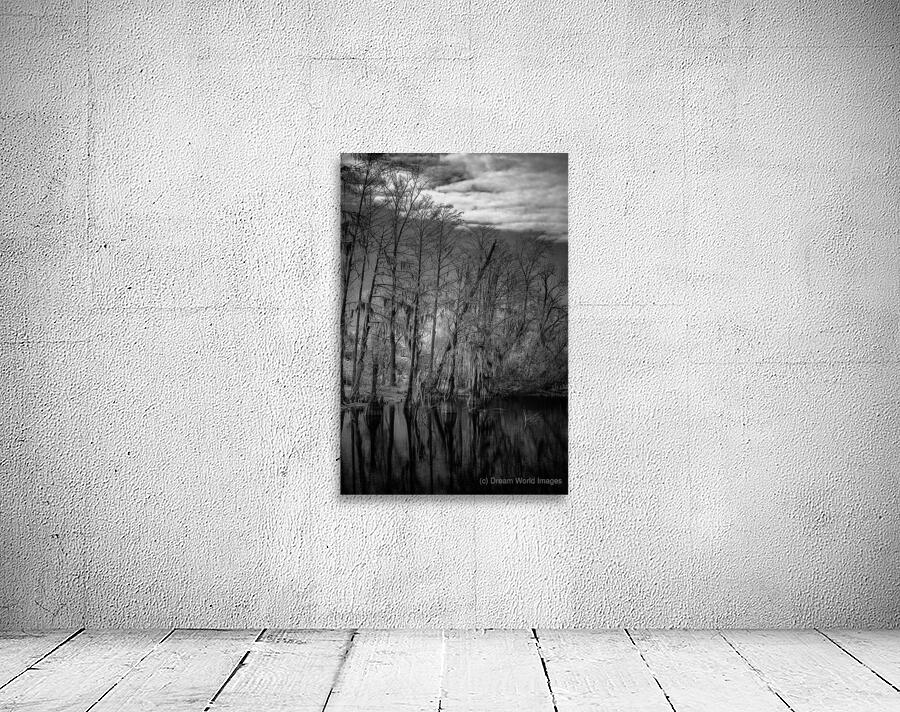 Whispers of the Bayou Wall Preview