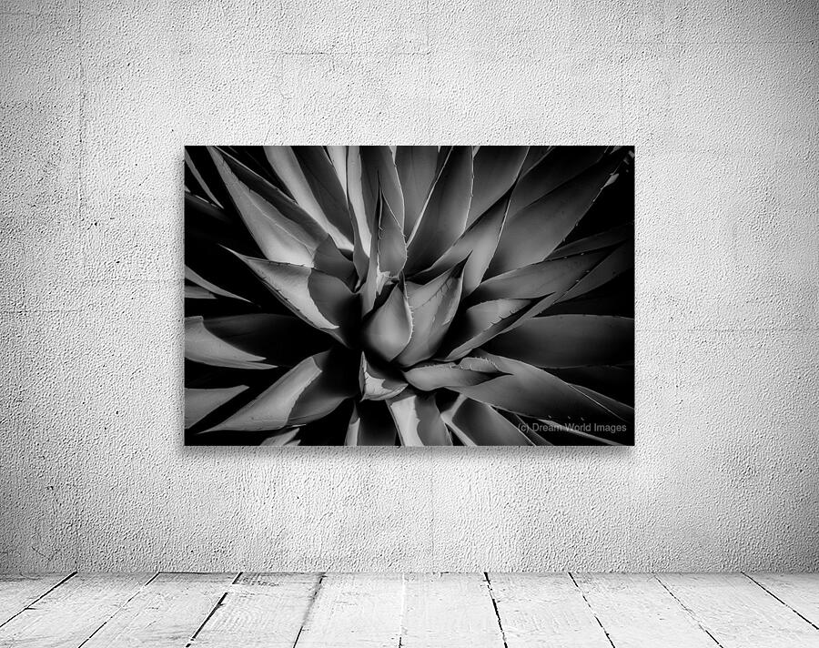 Silent Symphony of Leafy Angles Wall Preview