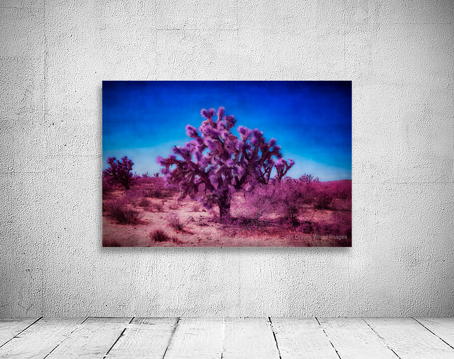 Whispers of the Desert Dream Wall Preview