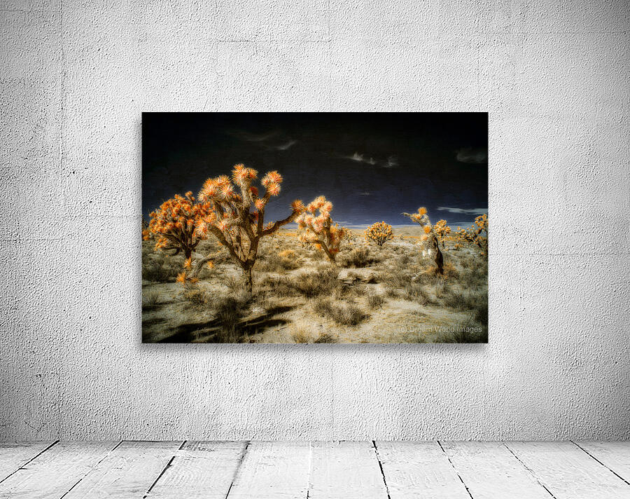 Joshuas Celestial Canopy Wall Preview