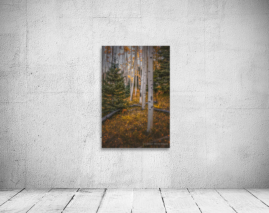 Eternal transition of the forest Wall Preview