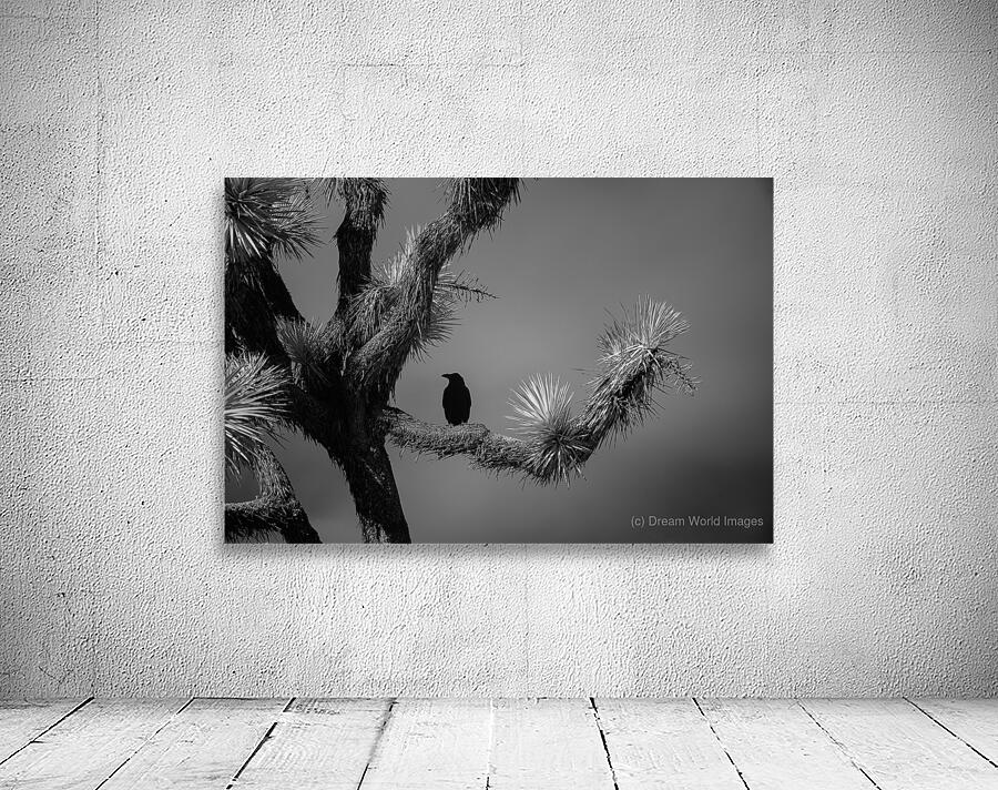 Perched in the Shadow of Spikes Wall Preview