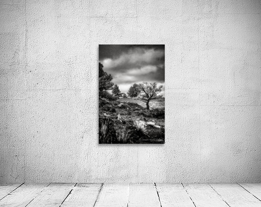 Solitude Unveiled: A Mystical Wyoming Lone Tree at Guernsey Stat Wall Preview