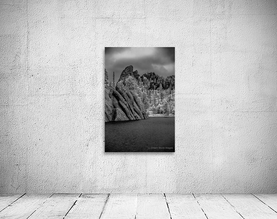 Sylvan Serenity: A Monochrome Tale of Natures Harmony in Custer  Wall Preview