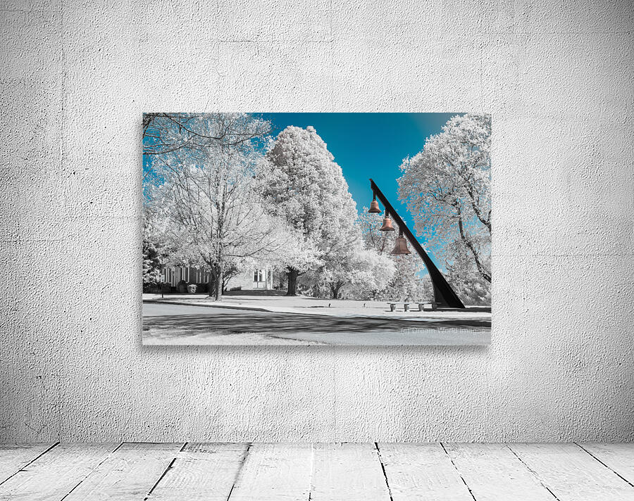 Infrared Exploration: Unveiling the Beauty of Seminary Bells in  Wall Preview