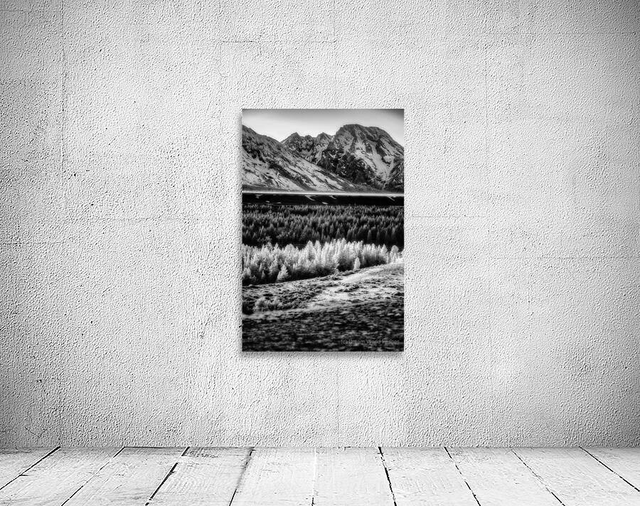 Light in the Valley Wall Preview