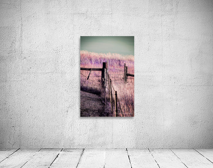 Purple Prairie Dreams   Wyoming Boundaries Wall Preview