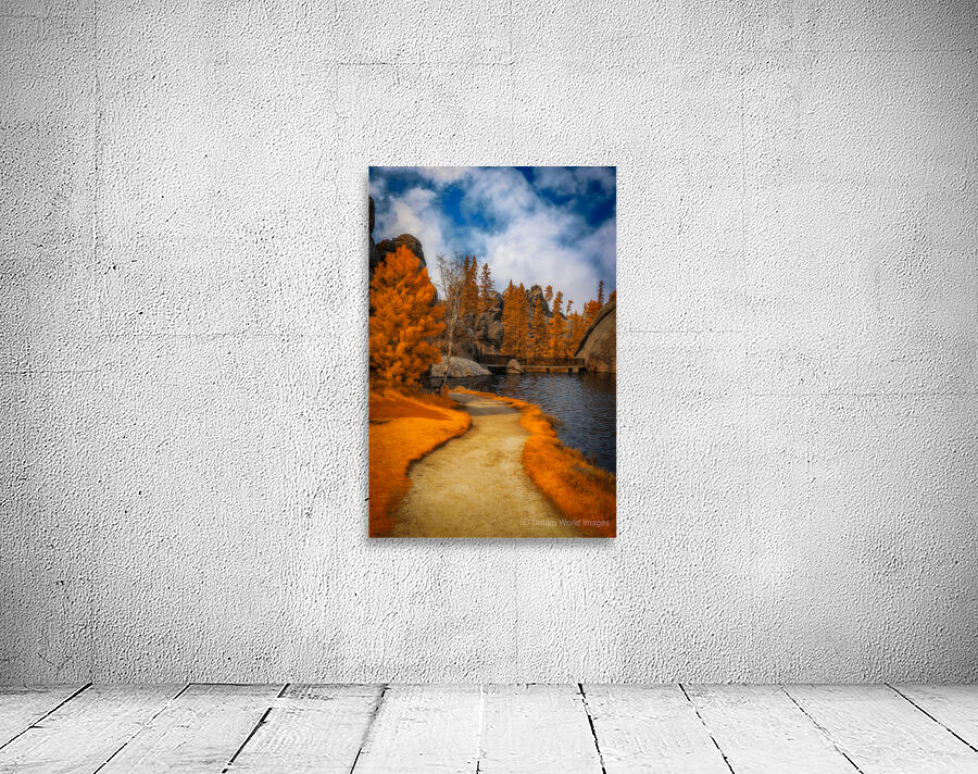 Autumnal Serenity: Sylvan Lake Path in Infrared Wall Preview