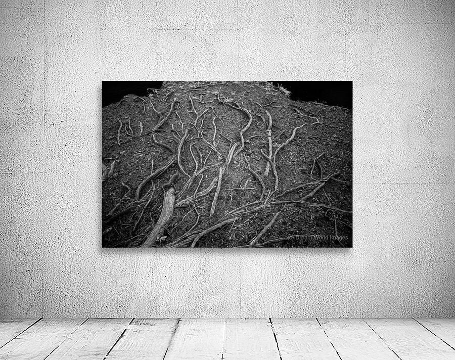 Veins of the Earth Wall Preview