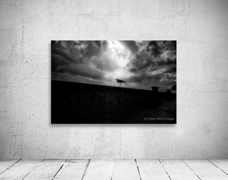 Rainy Day Stroll: Capturing Serenity with a Silhouetted Bird in  Wall Preview